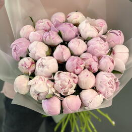 Julia Flowers