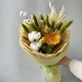 protea