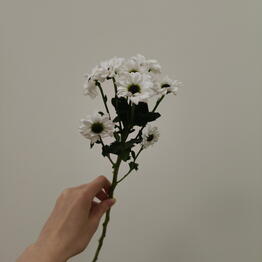 Lya`Flor