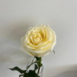 TIFFANY FLOWERS