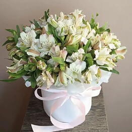 magazinflowers