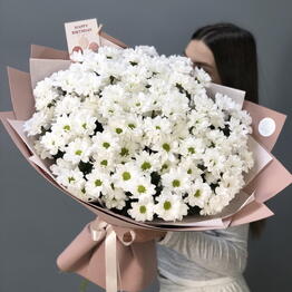 Ива flowers