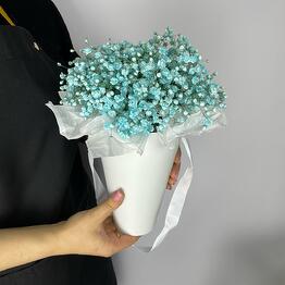 SIRIUS_FLOWERS
