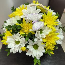  "Iris" salon cvetov i podarkov
