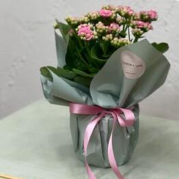 FLOWER ROOM