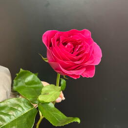 Диflowers