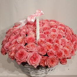 Xflower