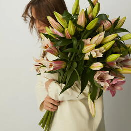 Rozen Dozen