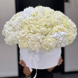 Adorable flowers