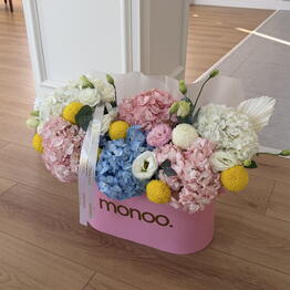 Monoo