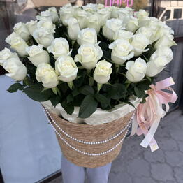SOFE Flowers