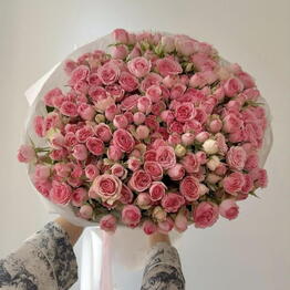 Lovely flowers
