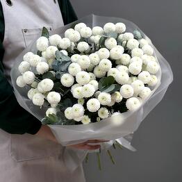 D&O ROSES