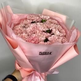 Flora K