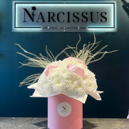 NARCISSUS