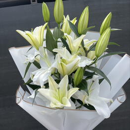 Pion