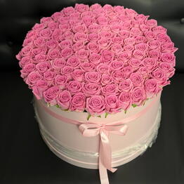 Bloom Boom