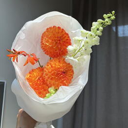Vesna flowers