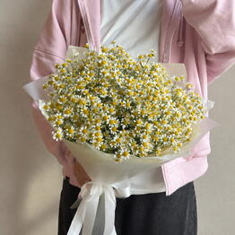 Лилея