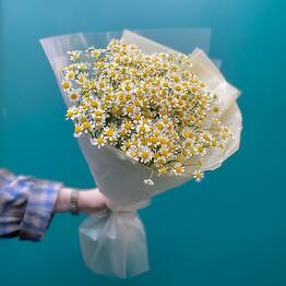 FloraLi