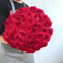 РозРозыч Фучика