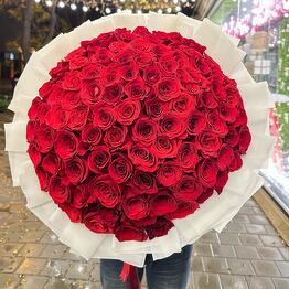 Tulpan flowers