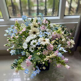 Flower_feya