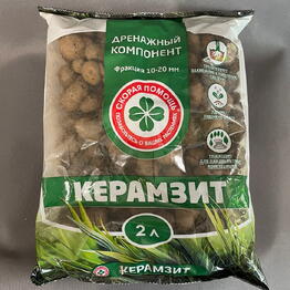Цветы Бутоника