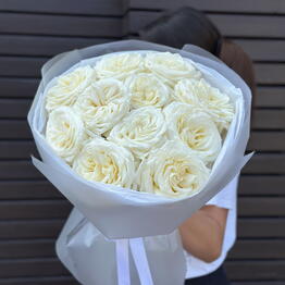 KATALEYA FLOWERS
