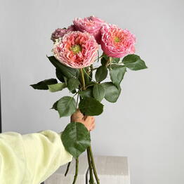 G.K flowers