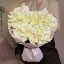 Mur Mur Flowers
