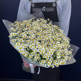Flowerstoday