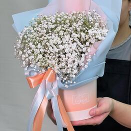Live Flowers