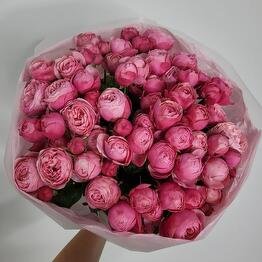 Bloom flowers