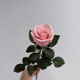 Цветы и подарки Family Flowers