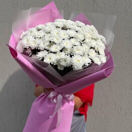 Red Roses 