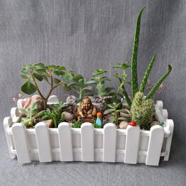 FlorariumSi