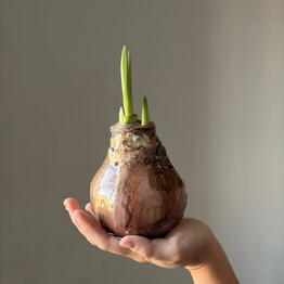 Мастерская Май