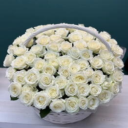 KOMPLIMENT FLOWERS