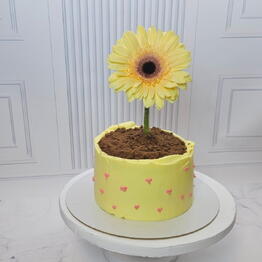 Konditerskaya Tort_lin