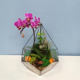 Flora-Glass