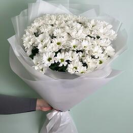 flower stories