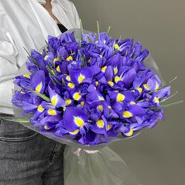 Art of Flowers