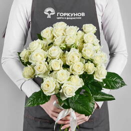 Горкунов