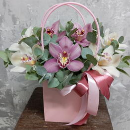 Beautiful Flowers