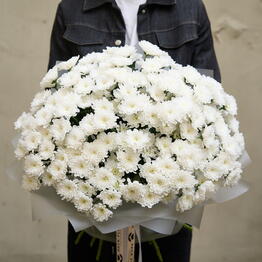 Pack Flowers
