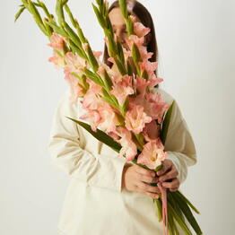 Rozen Dozen