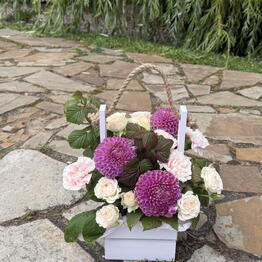 AlstroMariA flowers