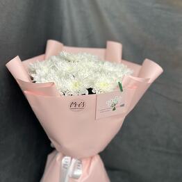 Irisfloraby