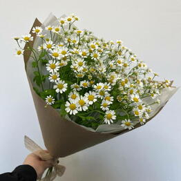 Lime Flowers
